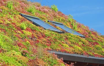 Stainton By Langworth living roof systems
